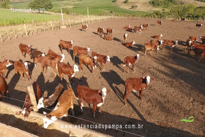 Os Serranos - Madrugada [VDownloader].00_01_14_00.Quadro019_975895cc5d98d7663d116d263a5f8713ce93f848.jpg